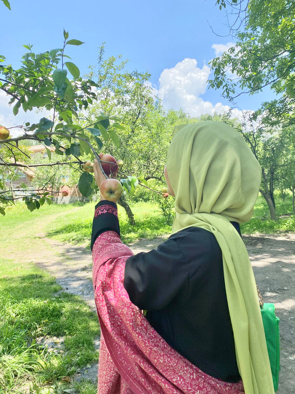 Apple Green Laser Georgette Hijab